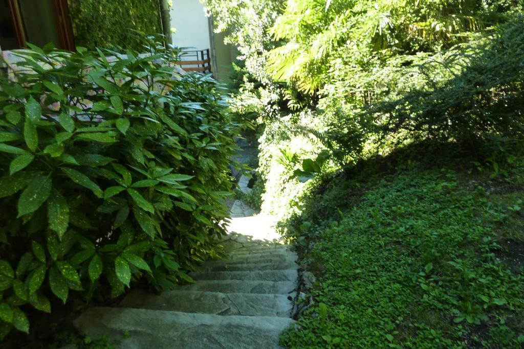 B&B Le Ortensie -Lago Di Como Lierna Exterior photo